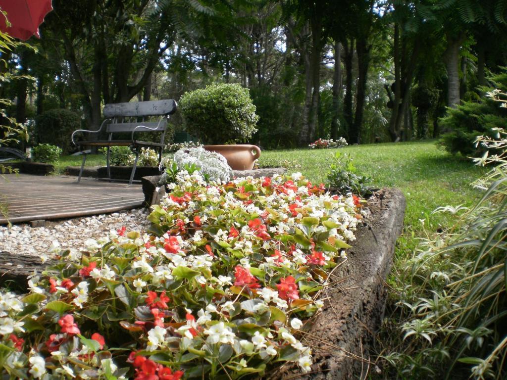 קארילו Posada Del Bosque By Hs מראה חיצוני תמונה